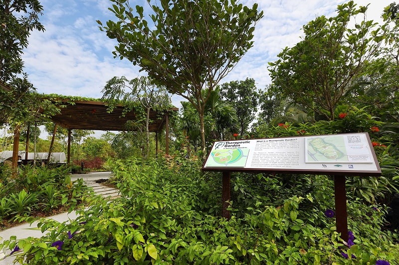 Jurong Lake Gardens Image 2