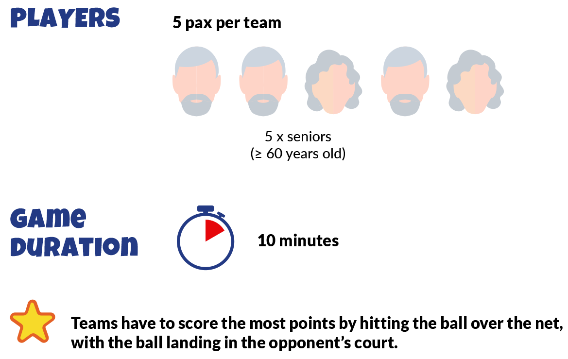 Soft Volleyball Game Requirements